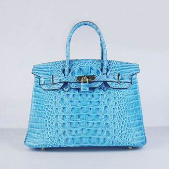 Hermes Birkin 30Cm Crocodile Head Stripe Handbags Light Blue Gol